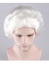 White Colonial Wig